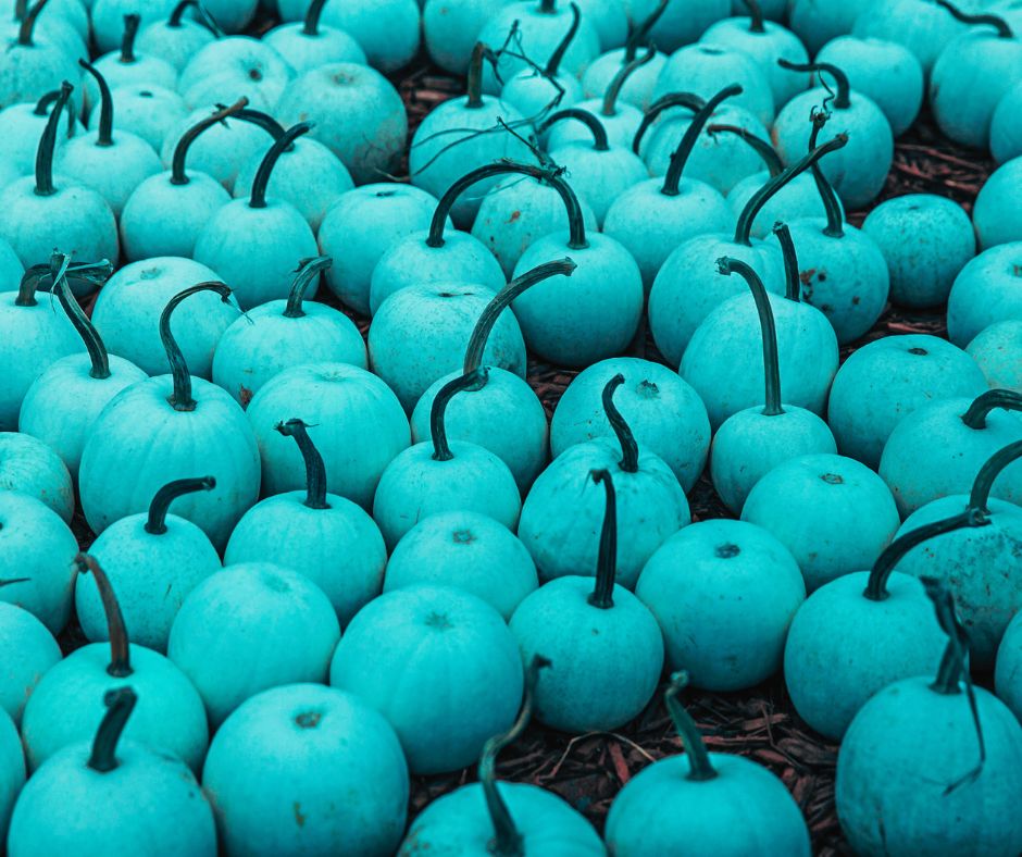 Join the Teal Pumpkin Project!