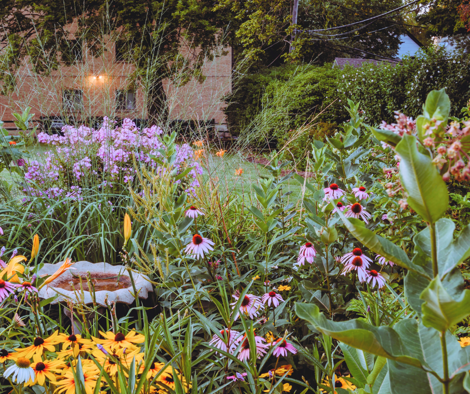 jardinage allergies