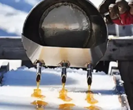 Le sirop d’érable : un produit pur?